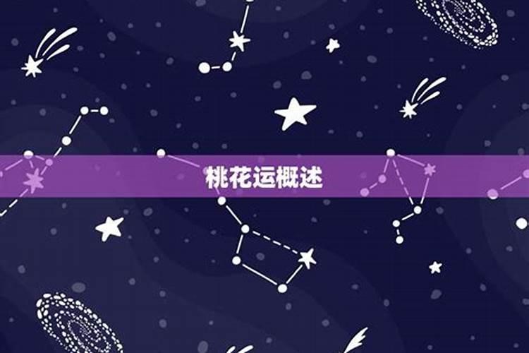 射手座最近三天桃花运