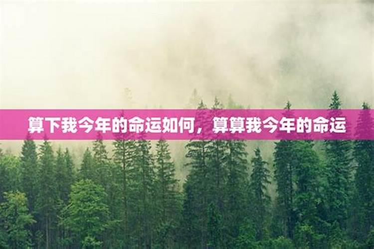 帮我算算今年时运如何