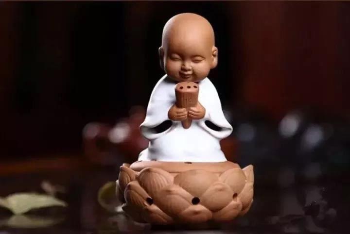 800鱼缸养的招财鱼，800鱼缸养的招财鱼能长多大