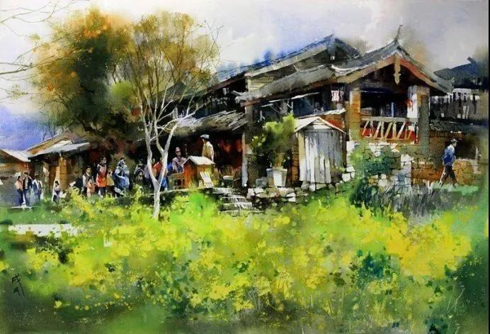 芭蕉树风水,芭蕉树是凶树还是吉树